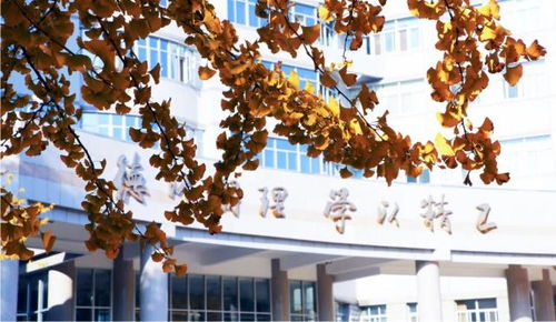 北京理工大學王牌專業盤點 網絡與信息安全、軟件開發等熱門方向不可錯過